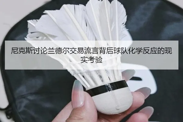尼克斯讨论兰德尔交易流言背后球队化学反应的现实考验